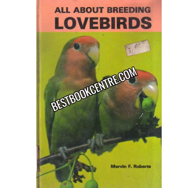 All About Breeding Lovebirds