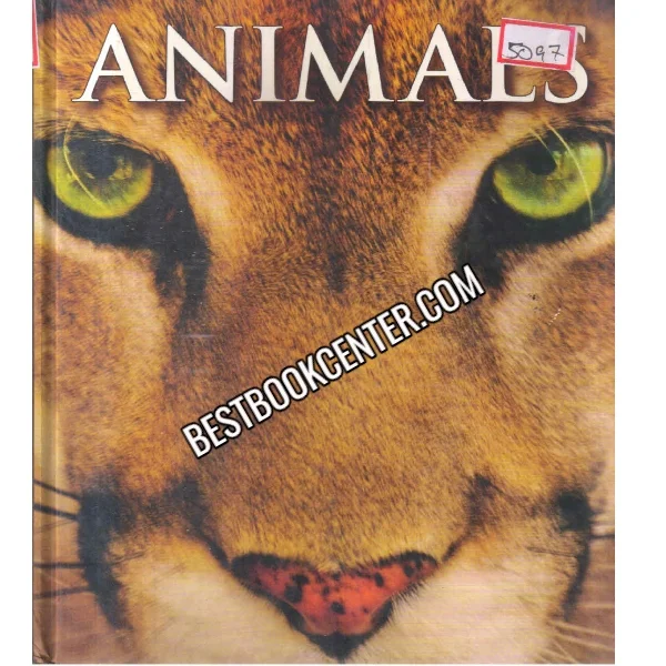 Animals