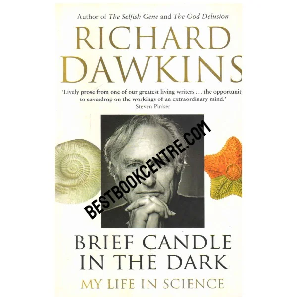 Brief Candle in the Dark