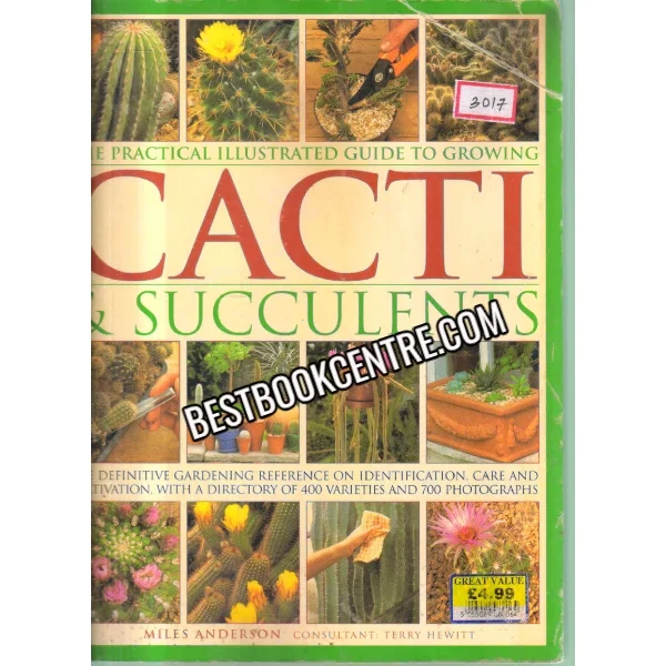 Cacti and Succulents