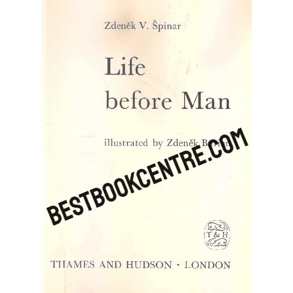 Life Before Man 1st Edition