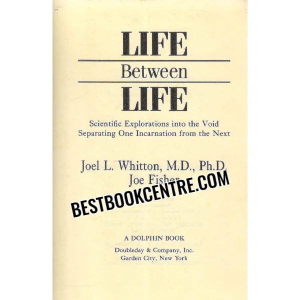 Life Between Life