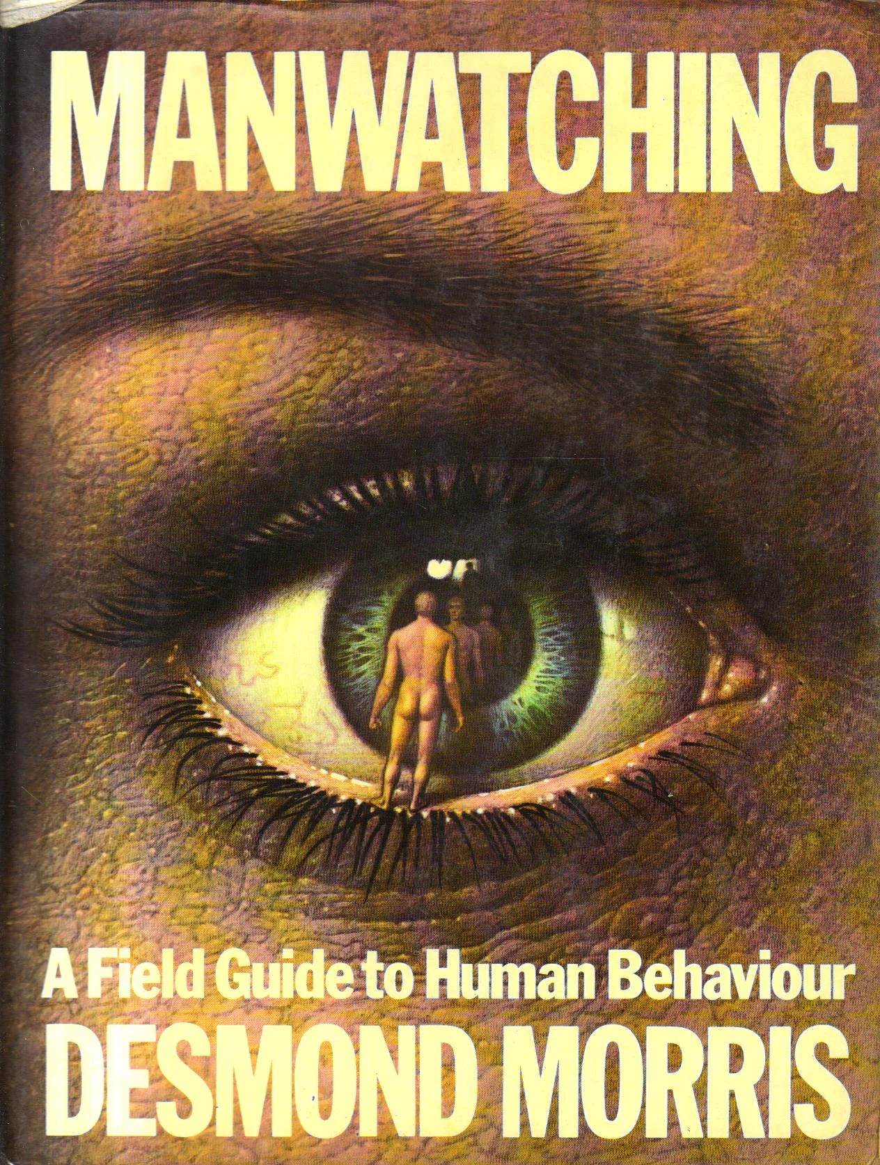Man Watching a Field Guide to Human Behaviour [Coffee Table Book]