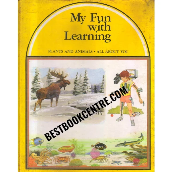 My Fun With Learning 3