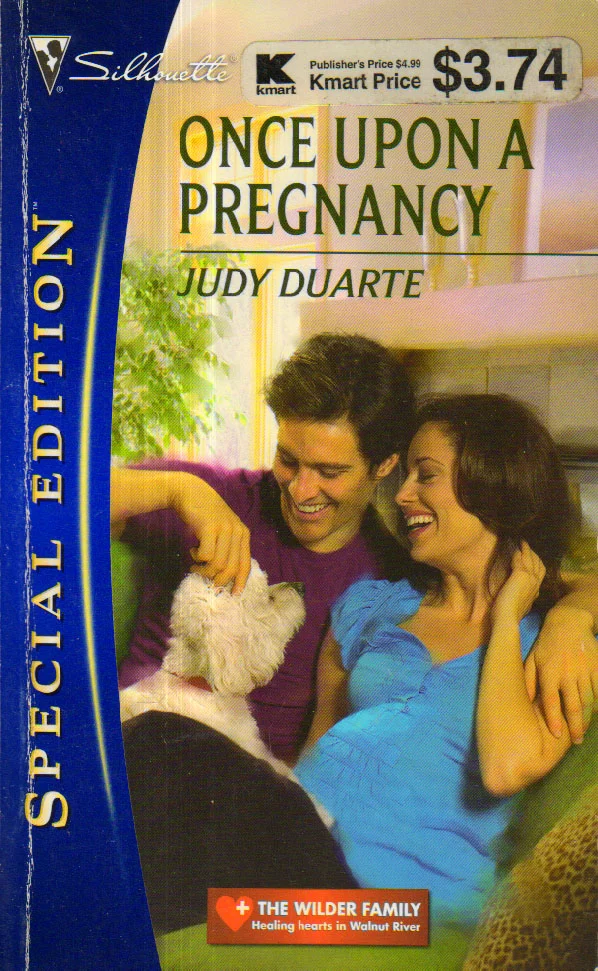 Once Upon a Pregnancy