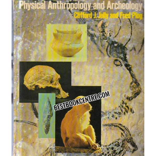 Physical Anthropolgy and Archeology