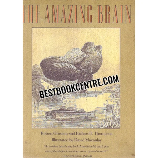 The Amazing Brain