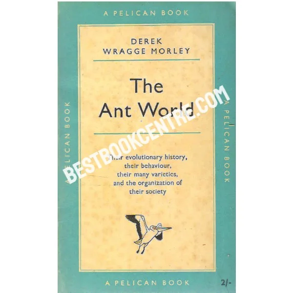 The Ant World