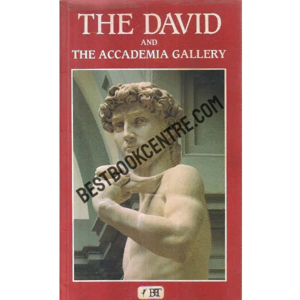 The David and the Accademia Gallery
