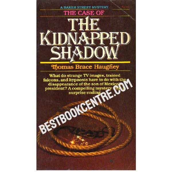 The Kidnapped Shadow