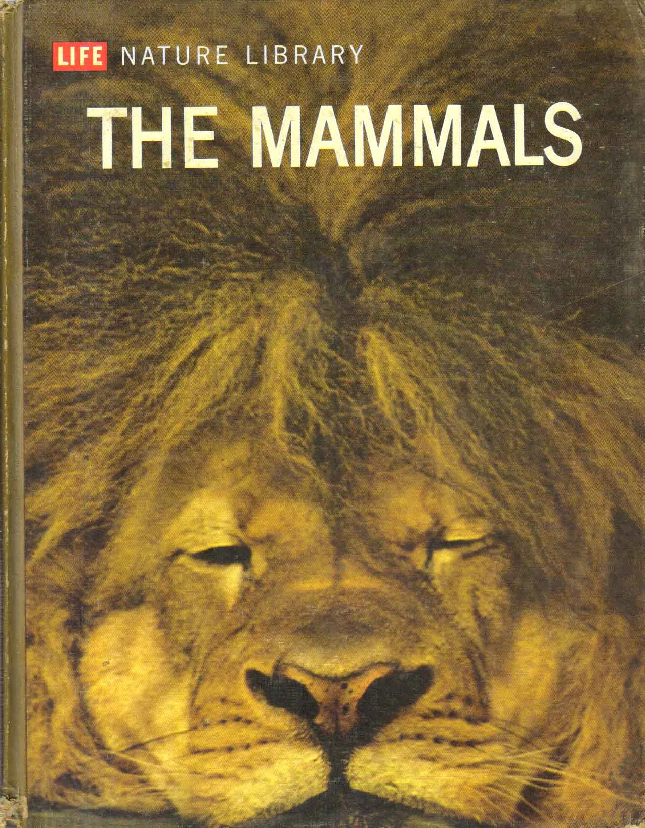 The Mammals