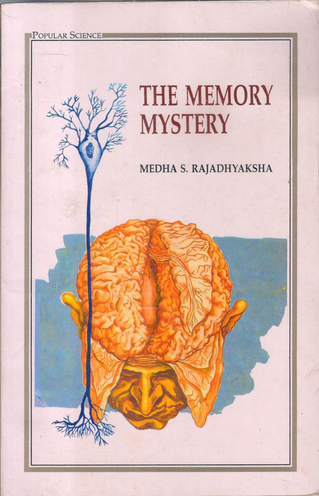 The Memory Mystery