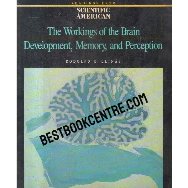 The Workings of the Brain Development Memory and Perception
