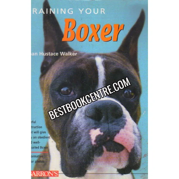 Training Your Boxer